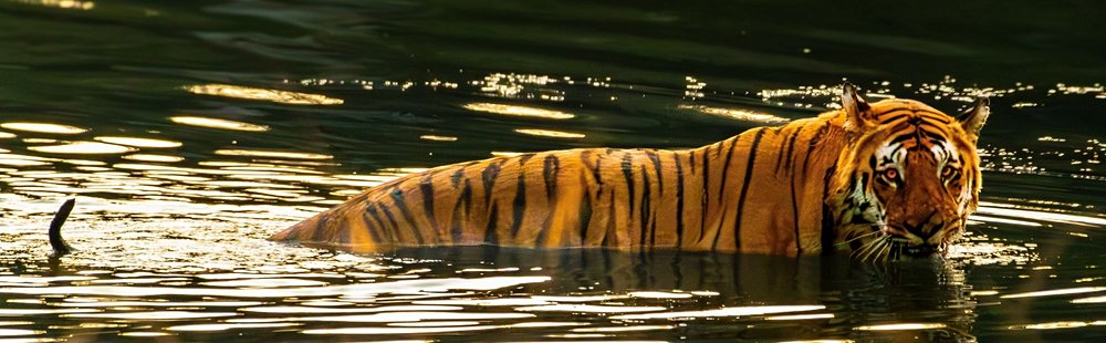 Parc national de Pench