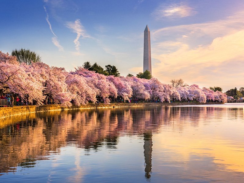 Washington