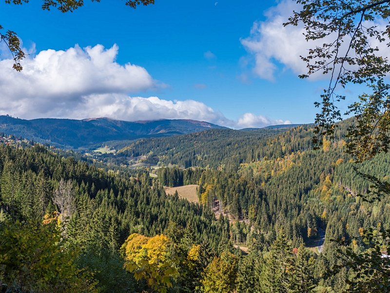 La rando panoramique : le Feldberg
