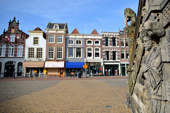 Gouda