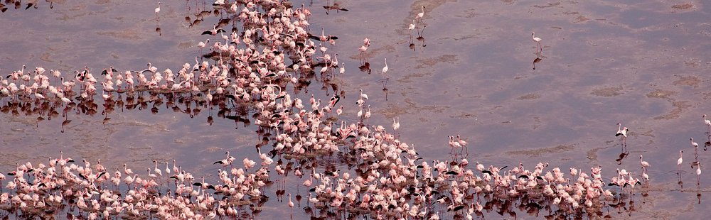 Le lac Natron