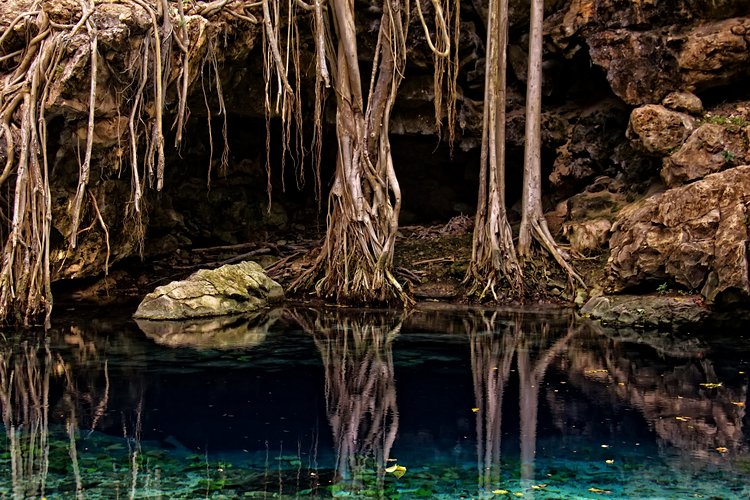 Cenotes X-batun & Dzombakal, San Antonio de Mulix 3