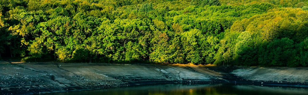 Le parc naturel de Montseny