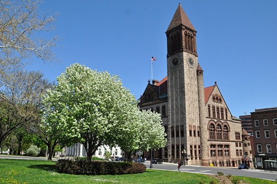 Albany