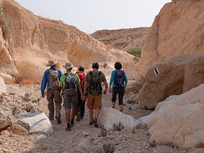 L'asséchée : Chemin Zafit