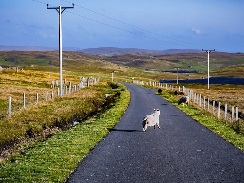 L’archipel des Shetland
