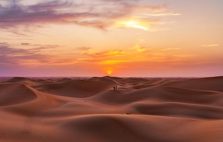 Le désert de Liwa 2