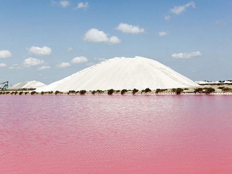 Les salins d’Aigues-Mortes