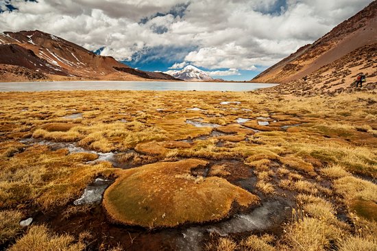 Parc national de Sajama