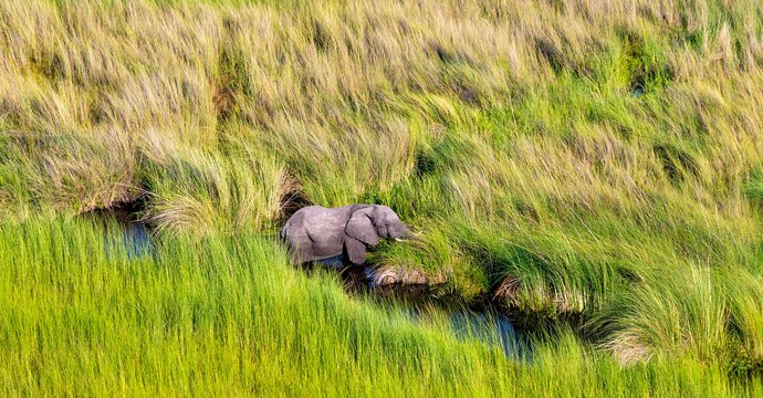 Botswana