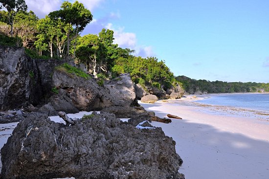 Bira