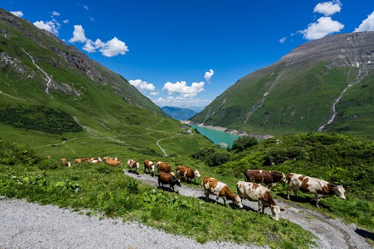 Le Parc National des Hohe Tauern 4