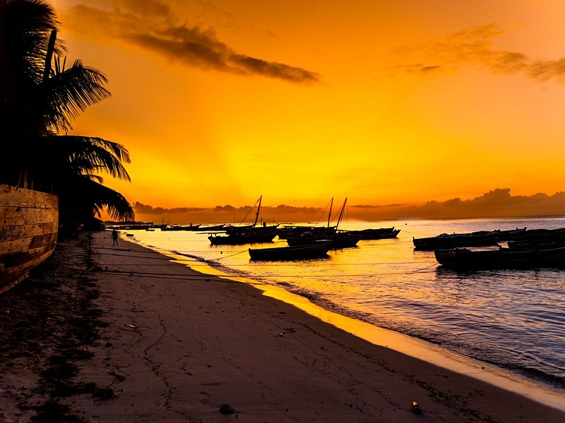 Les plages de Mafia Island