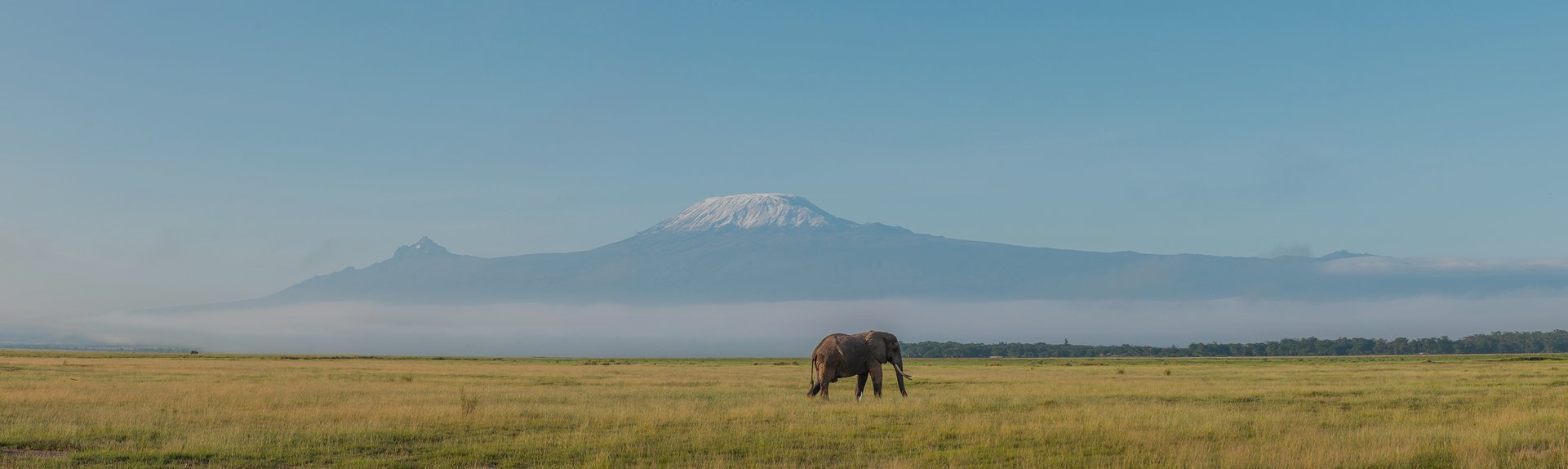 Tanzanie