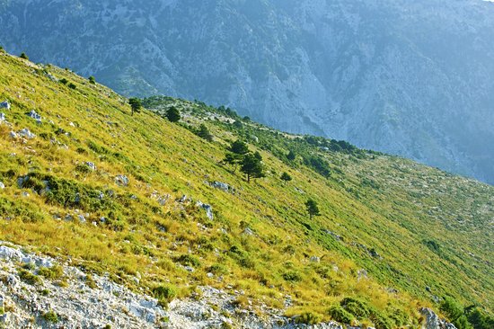 Parc national Llogara
