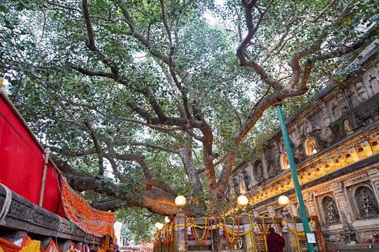 Bodhgaya