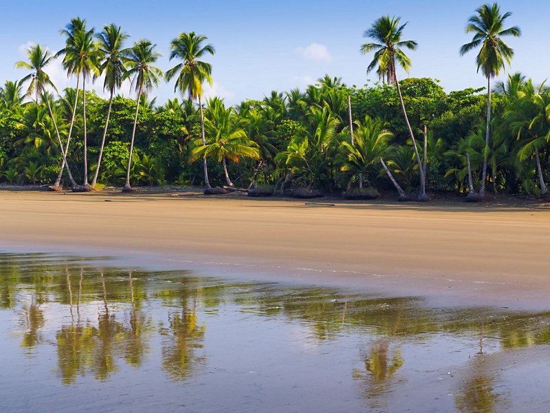 La plage d’Uvita