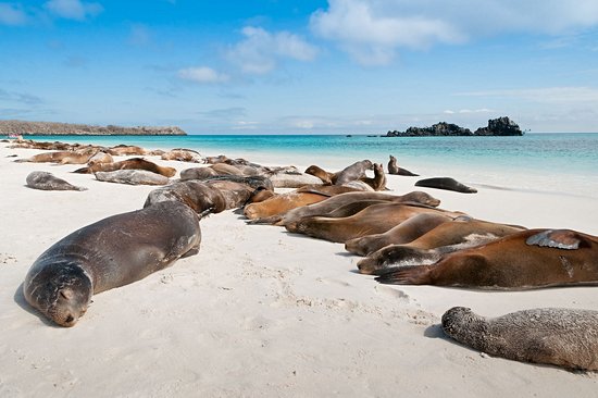 Îles Galápagos