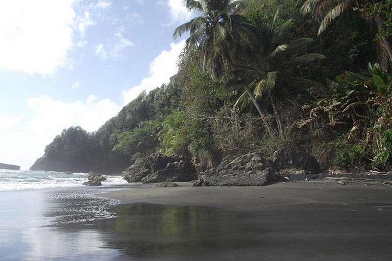 plage Rosalie Bay