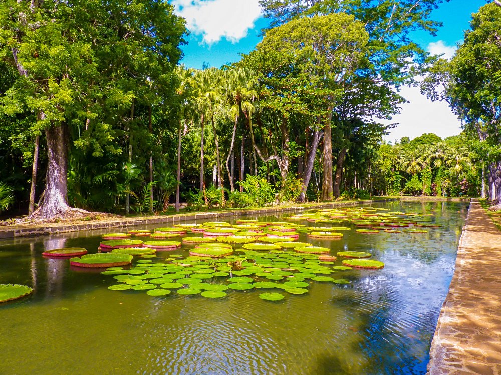 Ile Maurice au mois de  mars