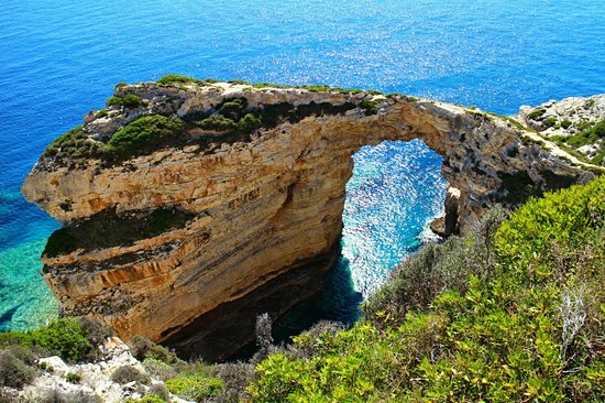 Paxos