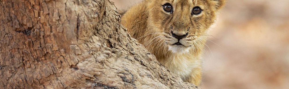 Parc national de Gir