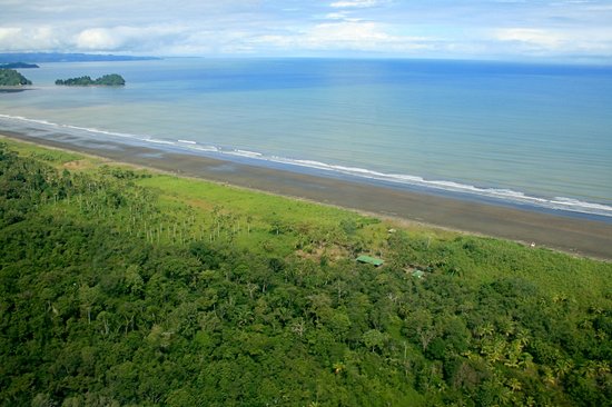 Nuqui