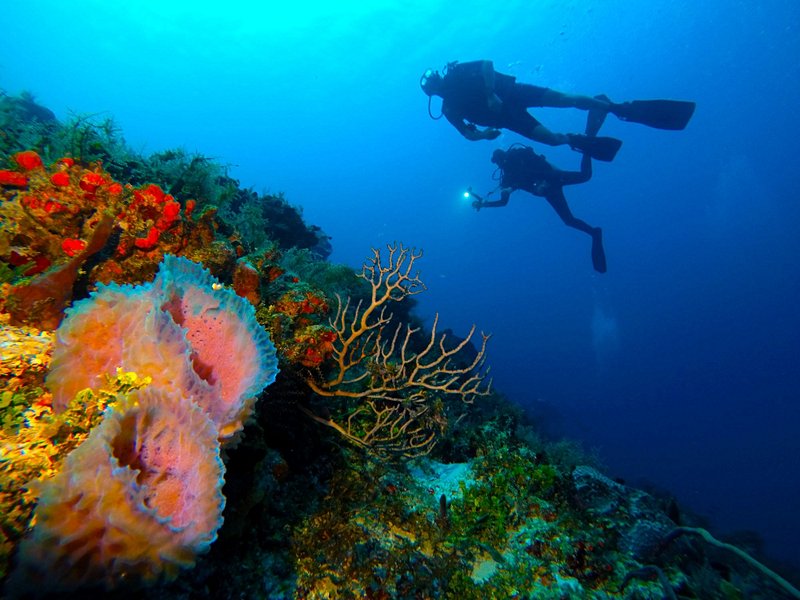Playa del Carmen