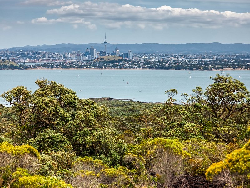 Île de Rangitoto