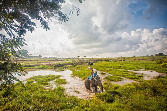 Parc national de Way Kambas