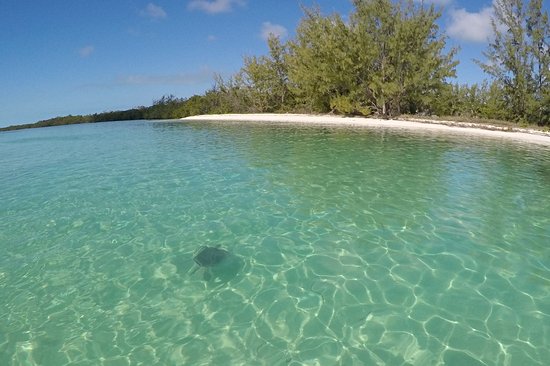 Shark Creek Beach à Great Harbour Cay