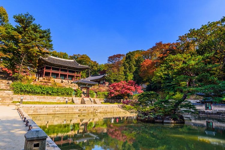 Palais Changdeokgung et son jardin secret