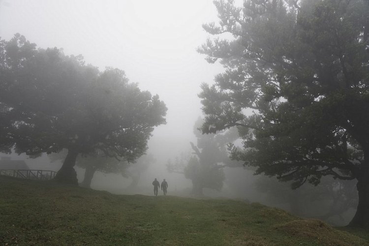 Randonnée PR13, Verada do Fanal