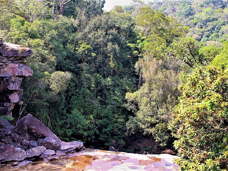 Popokvil