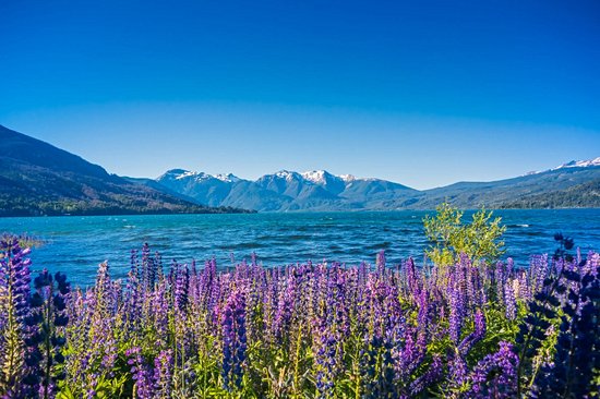 Parc national Los Alerces