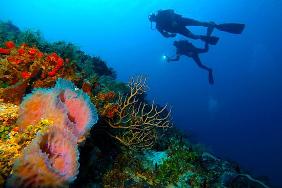 Playa del Carmen
