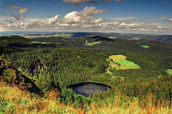 La rando panoramique : le Feldberg
