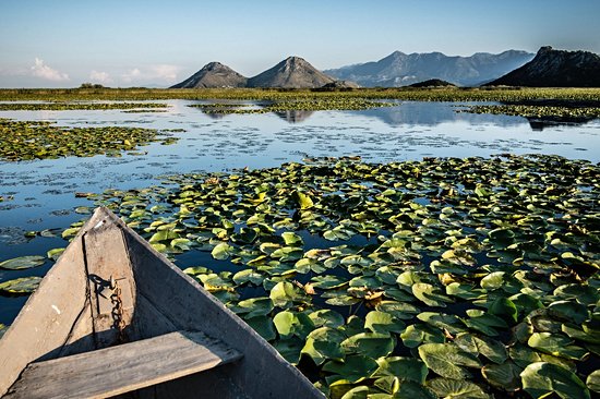 Lac Skadar