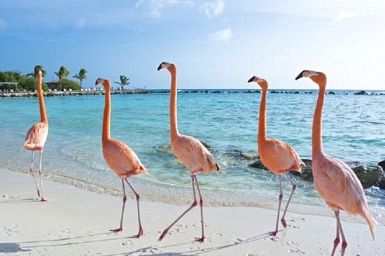 Parc national d'Inagua