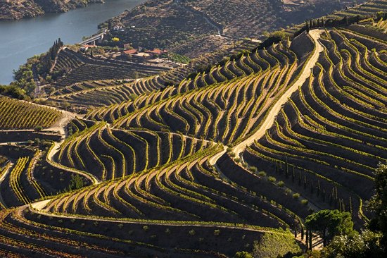 Vallée du Douro