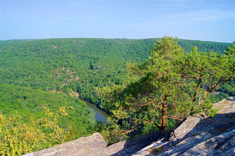 Le Parc National de Thayatal 3