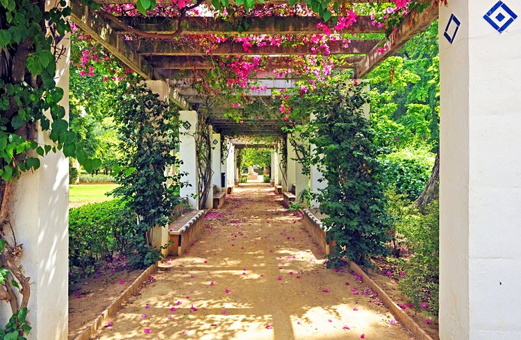 Les passages couverts et fleuris du parc Maria Luisa