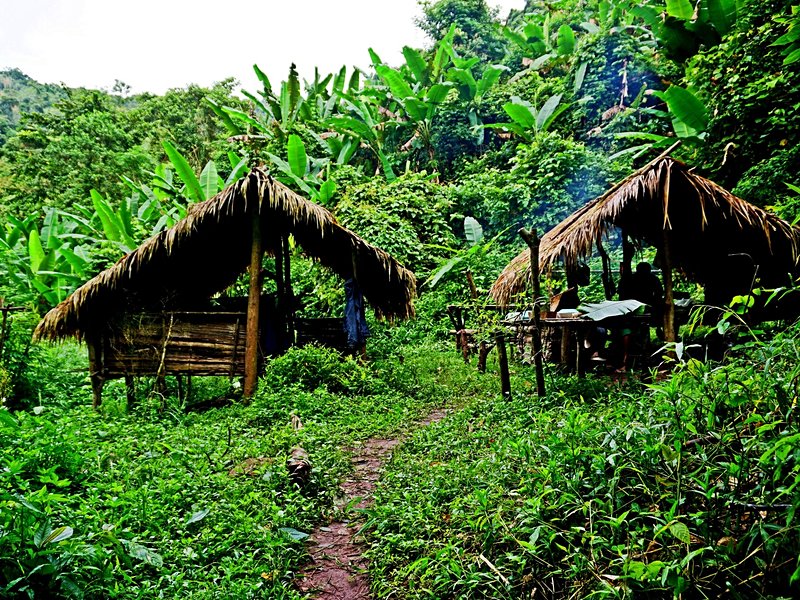 Parc national Nam Ha