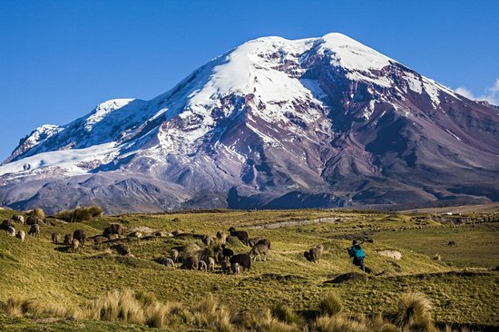Chimborazo