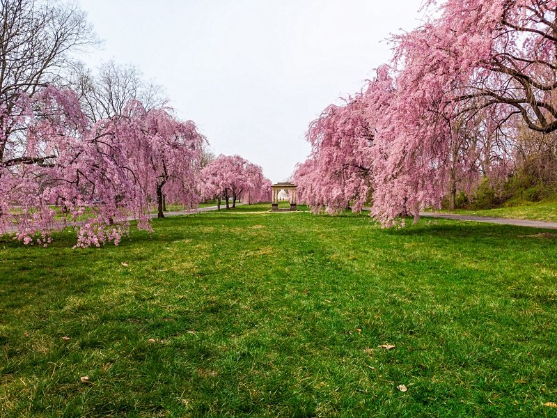 Fairmount Park