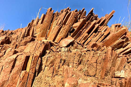 Organ Pipes
