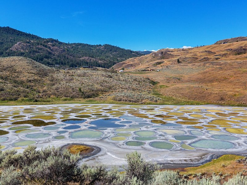 Spotted Lake
