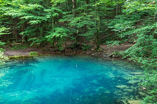Parc national des gorges de la Nera-Beușnița