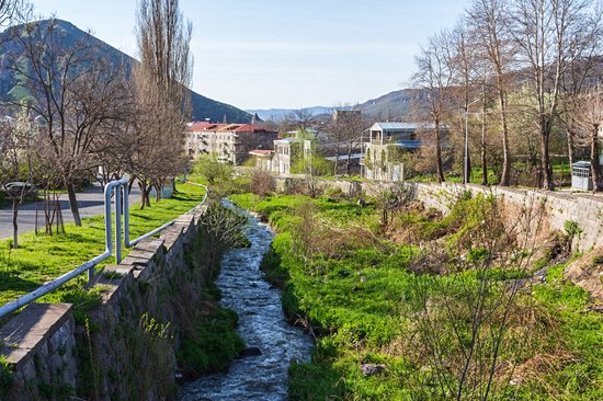 Goris