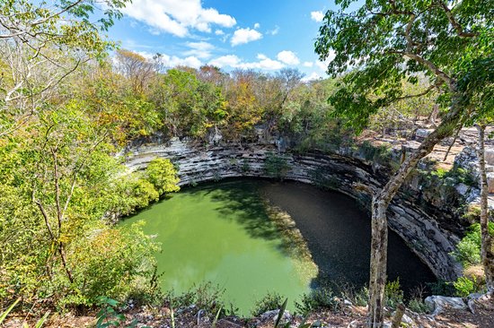 Sacred Cenote